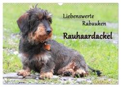 Liebenswerte Rabauken Rauhaardackel / CH-Version (Wandkalender 2024 DIN A3 quer), CALVENDO Monatskalender