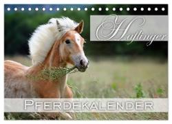 Haflinger / Geburtstagskalender (Tischkalender 2024 DIN A5 quer), CALVENDO Monatskalender