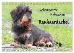 Liebenswerte Rabauken Rauhaardackel / CH-Version (Tischkalender 2024 DIN A5 quer), CALVENDO Monatskalender