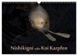 Nishikigoi oder Koi Karpfen (Wandkalender 2024 DIN A3 quer), CALVENDO Monatskalender