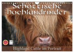 Schottische Hochlandrinder - Highland Cattle im Portrait (Wandkalender 2024 DIN A4 quer), CALVENDO Monatskalender