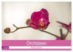 Blütenzauber Orchideen (Wandkalender 2024 DIN A2 quer), CALVENDO Monatskalender