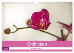 Blütenzauber Orchideen (Wandkalender 2024 DIN A4 quer), CALVENDO Monatskalender