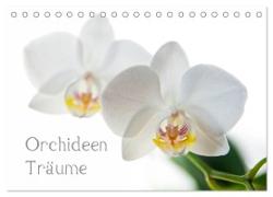 Orchideen Träume (Tischkalender 2024 DIN A5 quer), CALVENDO Monatskalender