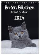 Briten Bärchen ¿ Britisch Kurzhaar 2024 (Tischkalender 2024 DIN A5 hoch), CALVENDO Monatskalender