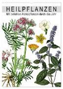 Heilpflanzen (Wandkalender 2024 DIN A2 hoch), CALVENDO Monatskalender