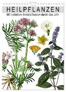 Heilpflanzen (Wandkalender 2024 DIN A4 hoch), CALVENDO Monatskalender
