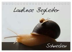 Lautlose Begleiter - Schnecken (Tischkalender 2024 DIN A5 quer), CALVENDO Monatskalender