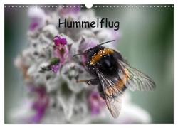 Hummelflug (Wandkalender 2024 DIN A3 quer), CALVENDO Monatskalender