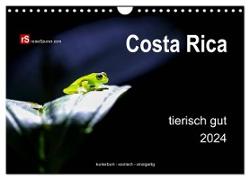 Costa Rica tierisch gut 2024 (Wandkalender 2024 DIN A4 quer), CALVENDO Monatskalender