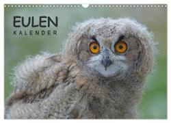 Eulen-Kalender (Wandkalender 2024 DIN A3 quer), CALVENDO Monatskalender