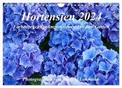 Hortensien 2024. Farbenprächtige Impressionen aus dem Garten (Wandkalender 2024 DIN A4 quer), CALVENDO Monatskalender