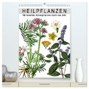 Heilpflanzen (hochwertiger Premium Wandkalender 2024 DIN A2 hoch), Kunstdruck in Hochglanz