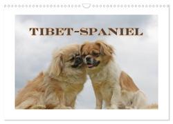 Tibet-Spaniel (Wandkalender 2024 DIN A3 quer), CALVENDO Monatskalender