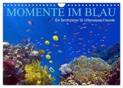 Momente im Blau - Ein Terminplaner für Unterwasser-Freunde (Wandkalender 2024 DIN A4 quer), CALVENDO Monatskalender