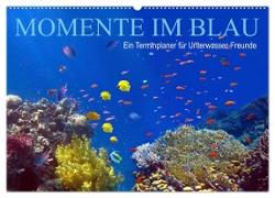 Momente im Blau - Ein Terminplaner für Unterwasser-Freunde (Wandkalender 2024 DIN A2 quer), CALVENDO Monatskalender