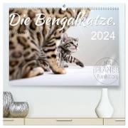Die Bengalkatze. Edition Jungtiere (hochwertiger Premium Wandkalender 2024 DIN A2 quer), Kunstdruck in Hochglanz