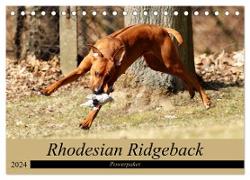 Rhodesian Ridgeback Powerpaket (Tischkalender 2024 DIN A5 quer), CALVENDO Monatskalender