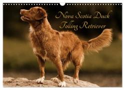 Nova Scotia Duck Tolling Retriever (Wandkalender 2024 DIN A3 quer), CALVENDO Monatskalender