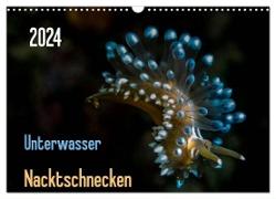Unterwasser - Nacktschnecken 2024 (Wandkalender 2024 DIN A3 quer), CALVENDO Monatskalender
