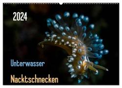Unterwasser - Nacktschnecken 2024 (Wandkalender 2024 DIN A2 quer), CALVENDO Monatskalender
