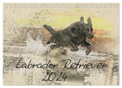 Labrador Retriever 2024 (Tischkalender 2024 DIN A5 quer), CALVENDO Monatskalender