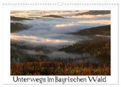 Unterwegs im Bayrischen Wald (Wandkalender 2024 DIN A3 quer), CALVENDO Monatskalender