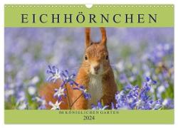 Eichhörnchen im Königlichen Garten (Wandkalender 2024 DIN A3 quer), CALVENDO Monatskalender