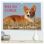 Welsh Corgi - Kobold auf 4 Pfoten (hochwertiger Premium Wandkalender 2024 DIN A2 quer), Kunstdruck in Hochglanz
