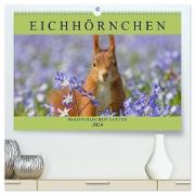 Eichhörnchen im Königlichen Garten (hochwertiger Premium Wandkalender 2024 DIN A2 quer), Kunstdruck in Hochglanz