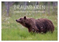 Braunbären - pelzige Riesen in Finnlands Wäldern (Wandkalender 2024 DIN A2 quer), CALVENDO Monatskalender