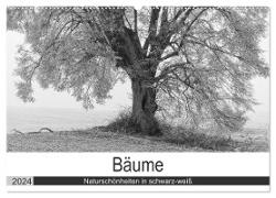 Bäume - Naturschönheiten in schwarz-weiß (Wandkalender 2024 DIN A2 quer), CALVENDO Monatskalender