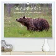Braunbären - pelzige Riesen in Finnlands Wäldern (hochwertiger Premium Wandkalender 2024 DIN A2 quer), Kunstdruck in Hochglanz
