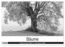 Bäume - Naturschönheiten in schwarz-weiß (Wandkalender 2024 DIN A4 quer), CALVENDO Monatskalender