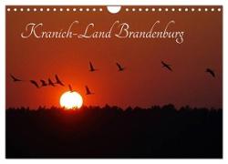 Kranich-Land Brandenburg (Wandkalender 2024 DIN A4 quer), CALVENDO Monatskalender