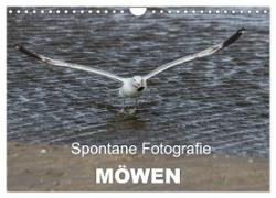 Spontane Fotografie - Möwen (Wandkalender 2024 DIN A4 quer), CALVENDO Monatskalender