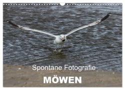 Spontane Fotografie - Möwen (Wandkalender 2024 DIN A3 quer), CALVENDO Monatskalender