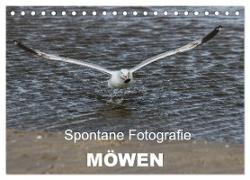 Spontane Fotografie - Möwen (Tischkalender 2024 DIN A5 quer), CALVENDO Monatskalender