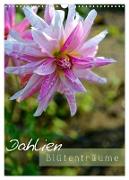 Dahlien - Blütenträume (Wandkalender 2024 DIN A3 hoch), CALVENDO Monatskalender