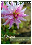 Dahlien - Blütenträume (Tischkalender 2024 DIN A5 hoch), CALVENDO Monatskalender