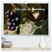 Das Jahr im Weinberg (hochwertiger Premium Wandkalender 2024 DIN A2 quer), Kunstdruck in Hochglanz