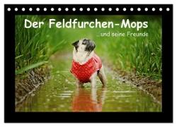 Der Feldfurchen-Mops (Tischkalender 2024 DIN A5 quer), CALVENDO Monatskalender