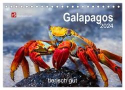 Galapagos 2024 tierisch gut (Tischkalender 2024 DIN A5 quer), CALVENDO Monatskalender