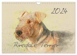 Airedale Terrier 2024 (Wandkalender 2024 DIN A4 quer), CALVENDO Monatskalender