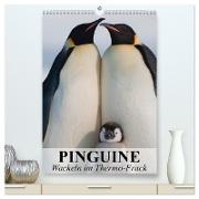 Pinguine - Wackeln im Thermo-Frack (hochwertiger Premium Wandkalender 2024 DIN A2 hoch), Kunstdruck in Hochglanz