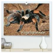 Vogelspinnen (hochwertiger Premium Wandkalender 2024 DIN A2 quer), Kunstdruck in Hochglanz