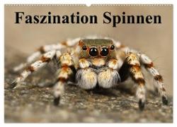 Faszination Spinnen (Wandkalender 2024 DIN A2 quer), CALVENDO Monatskalender