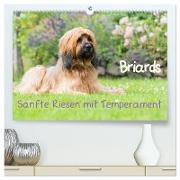Briards - sanfte Riesen mit Temperament (hochwertiger Premium Wandkalender 2024 DIN A2 quer), Kunstdruck in Hochglanz