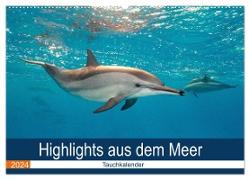 Highlights aus dem Meer - Tauchkalender (Wandkalender 2024 DIN A2 quer), CALVENDO Monatskalender