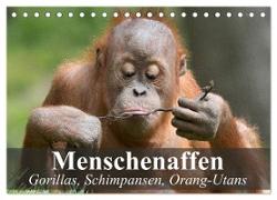 Menschenaffen. Gorillas, Schimpansen, Orang-Utans (Tischkalender 2024 DIN A5 quer), CALVENDO Monatskalender